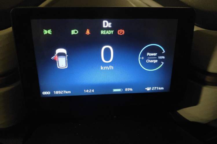 Used SOL E10X 2022 Flower Fairy Style Baby's Breath
