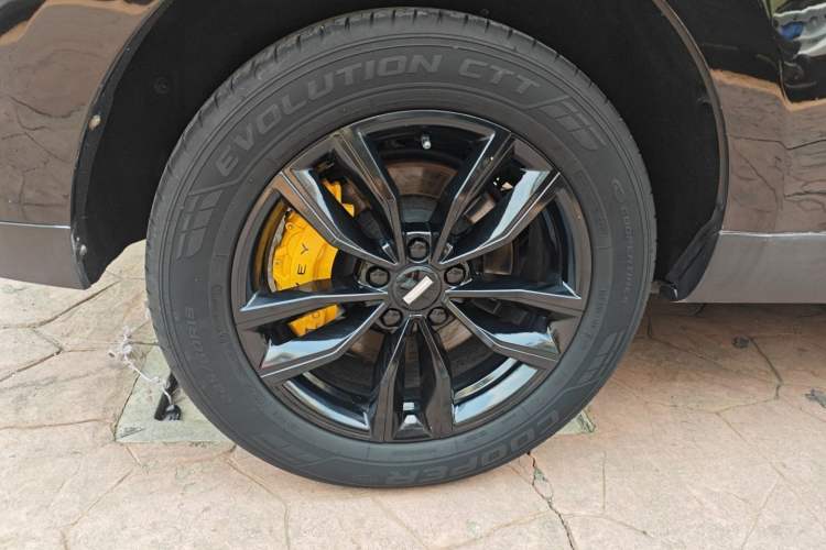 Used Wey VV5 2020 1.5T Two-Wheel Drive Smart Pioneer