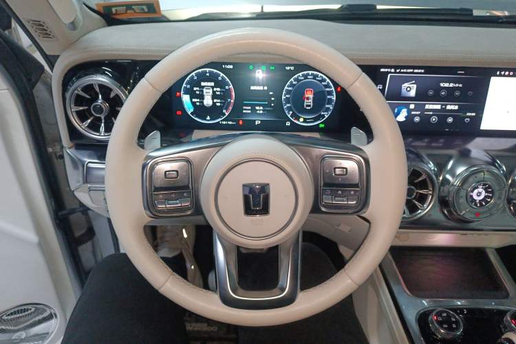 Used Cyberspace Tank 300 2021 2.0T Cyber Tank
