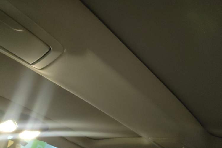 Used BMW 5 Series New Energy 2019 530Le Pioneer Edition Headliner