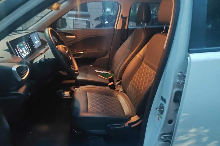 Used ORA White Cat 2020 401 km Flagship Version Left Front Seat