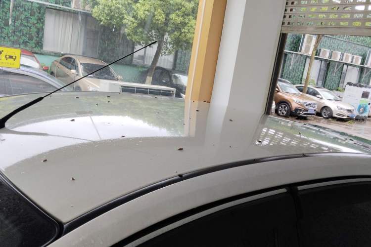 Used Ford Focus 2013 Hatchback Classic 1.8L Automatic Base Model