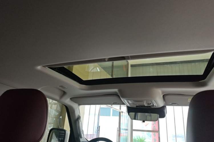 Used Tank 300 2025 2.0T Conqueror Headliner