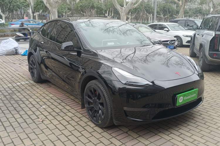 Used Tesla Model Y 2022 Revised Version Long-Range All-Wheel Drive
