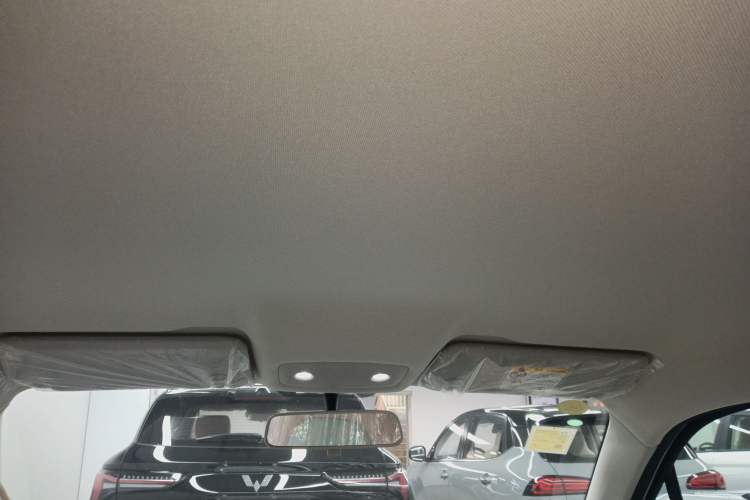 Used Leapmotor T03 2025 310 Comfort Edition Headliner