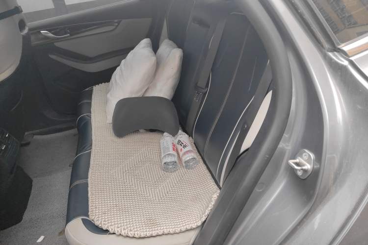 Used BYD Qin PLUS 2023 Champion Edition DM-i 120KM Leading Model Left Rear Seat