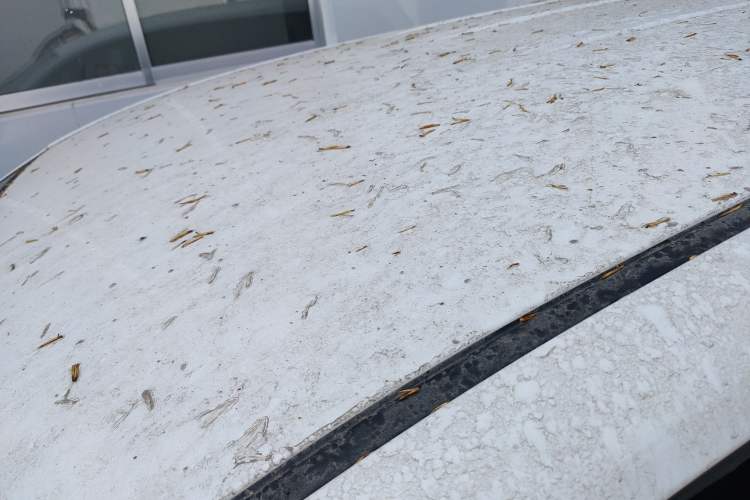 Used Baojun 730 2016 Revised 1.5L Manual Standard Version 7 Seats China V Emission Standard