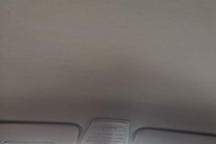 Used Baojun E100 2020 305KM Smart Drive Version Headliner