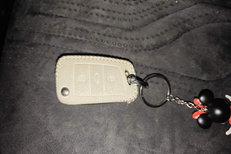 Used Volkswagen Tayron 2024 300TSI Two-Wheel-Drive Luxury Plus Advanced Version Vehicle Key