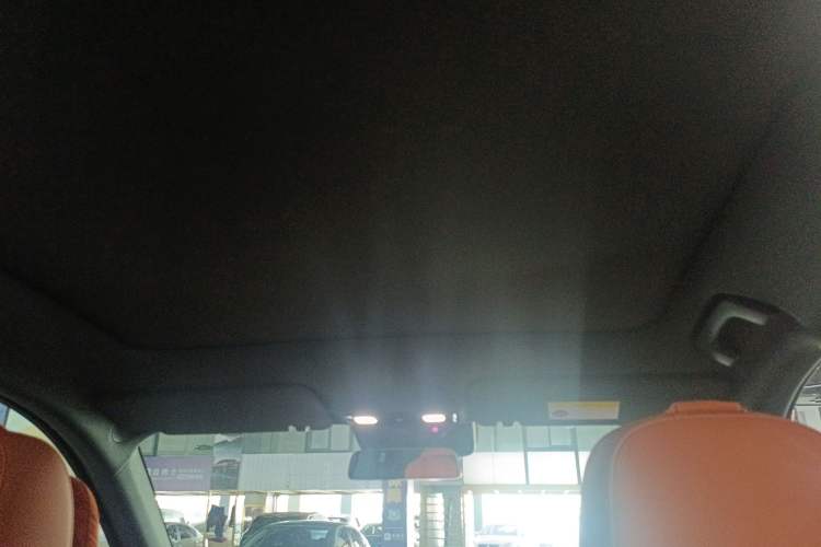 Used Li Auto L6 2024 Max