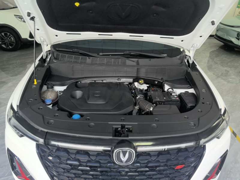 Used CHANGAN CS35PLUS 2021 Revised Version Blue Whale NE 1.4T DCT Prestige Edition — 19