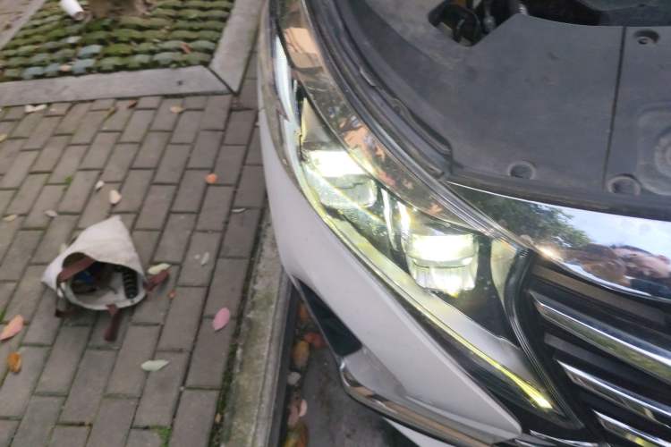 Used GAC Trumpchi M8 2021 Lingxiu Series 390T Deluxe Edition Right Front Headlight