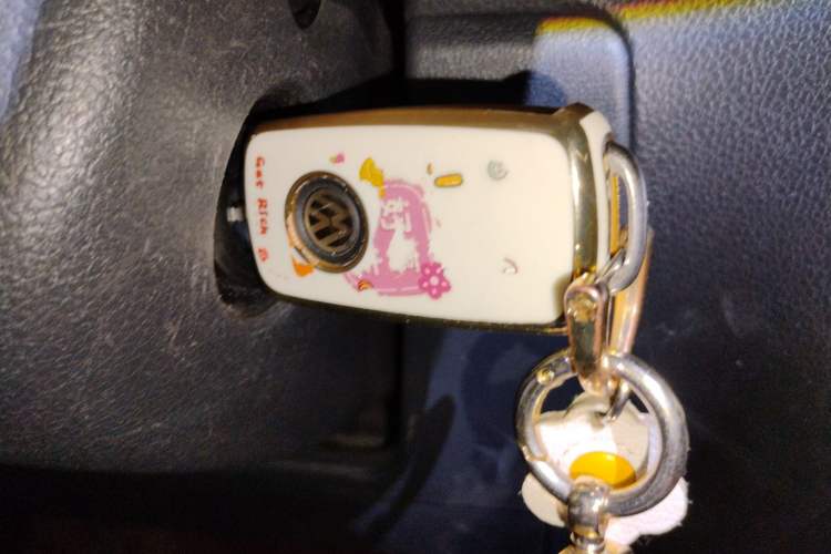 Used Volkswagen Polo 2018 1.5L Automatic Advanced Driving Model Vehicle Key