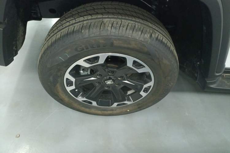 Used Tank 300 2025 2.4T Diesel Version Exterior 5