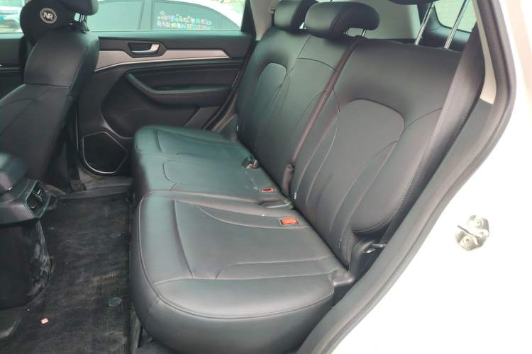 Used Haval H6 2018 Blue Label Sport Edition 1.5T Automatic Two-Wheel Drive Elite Model Left Rear Seat