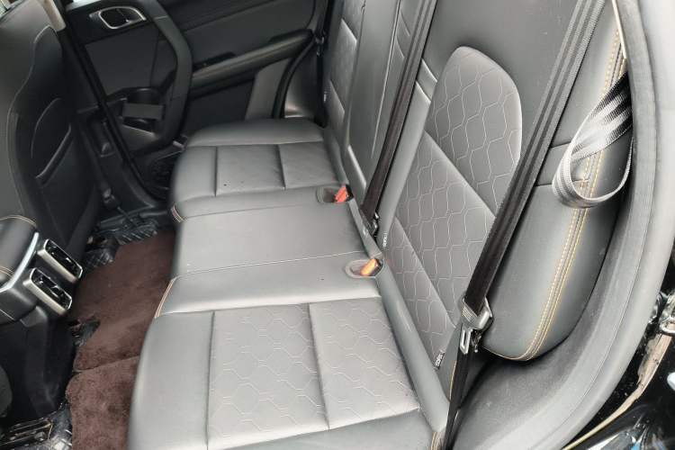 Used Haval DARGO 2024 2.0T DCT Chinese Rural Dog Edition
