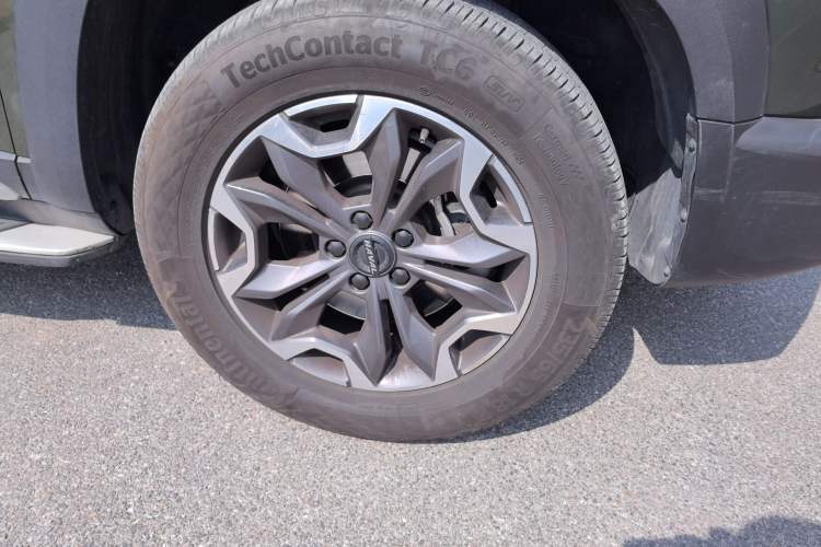 Used Haval DARGO 2021 2.0T DCT 4x4 Chinese Rural Dog Edition
