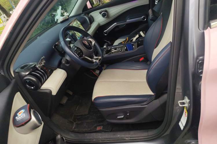 Used BYD Yuan PLUS 2022 510 km Flagship Version Left Front Seat