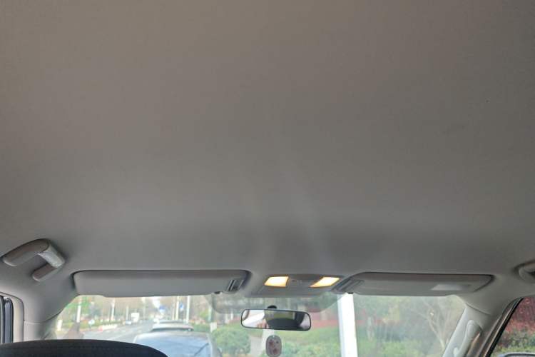 Used Nissan Patrol 2018 4.0L LinkedIn Edition Headliner