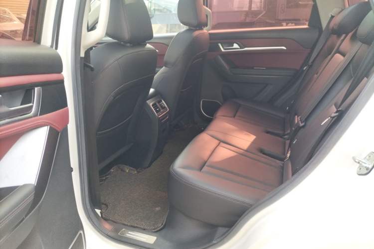 Used Haval H6 Coupe 2018 Red-Label 1.5T Automatic Two-Wheel Drive Ultra-Luxury Model Left Rear Seat