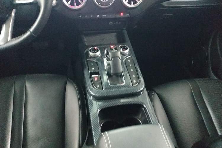 Used Tank 300 2024 2.0T Crosser
