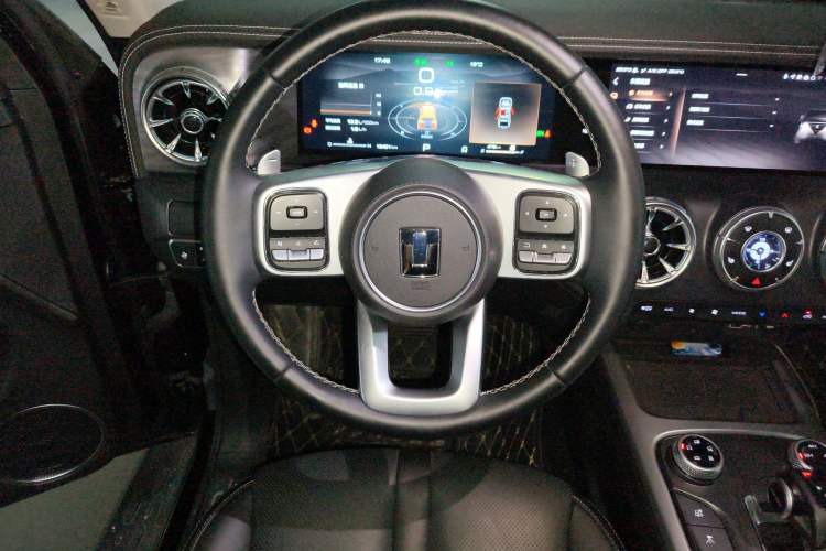 Used Tank 300 2024 2.0T Conqueror
