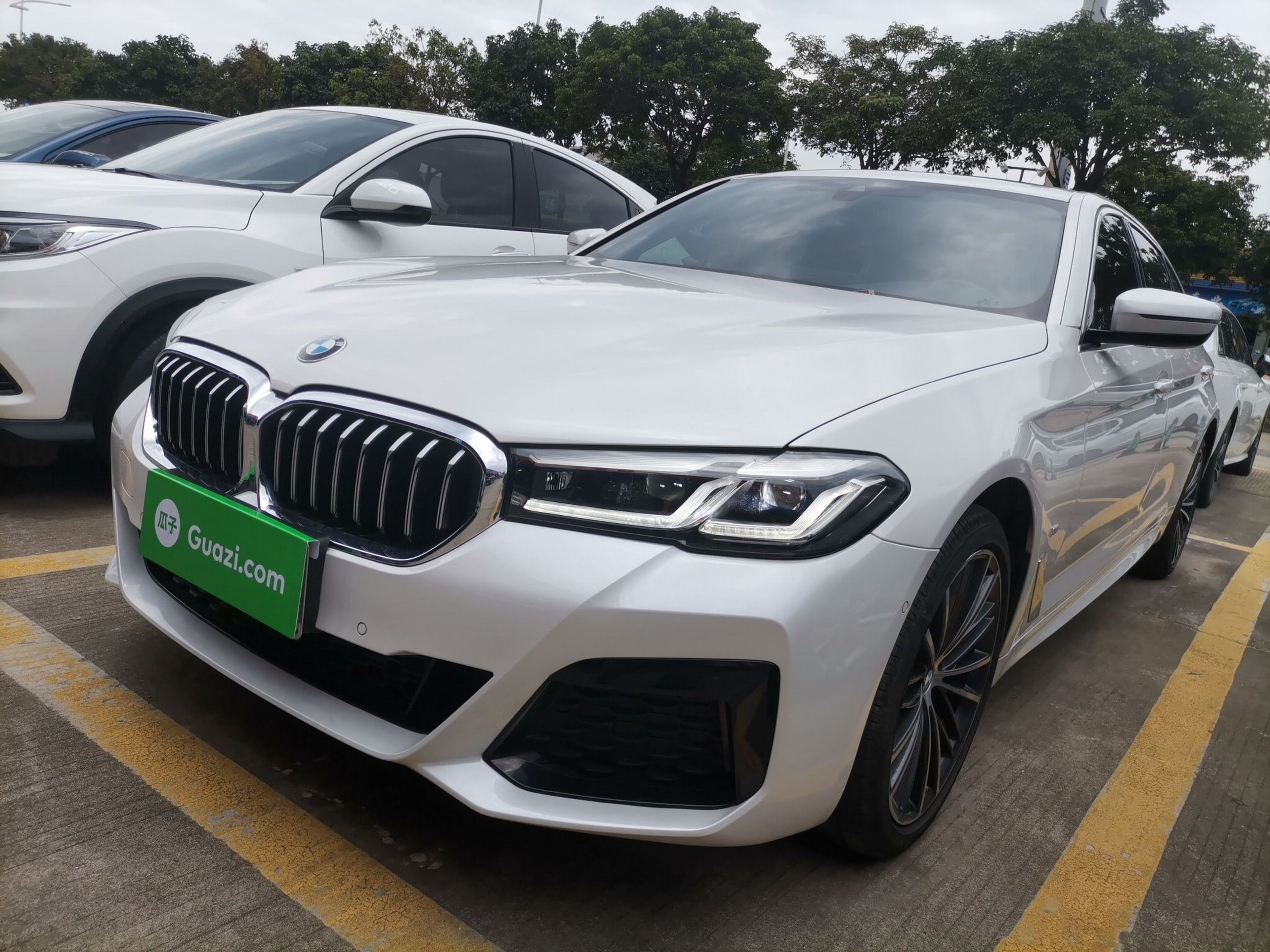 Parte inferior delantera