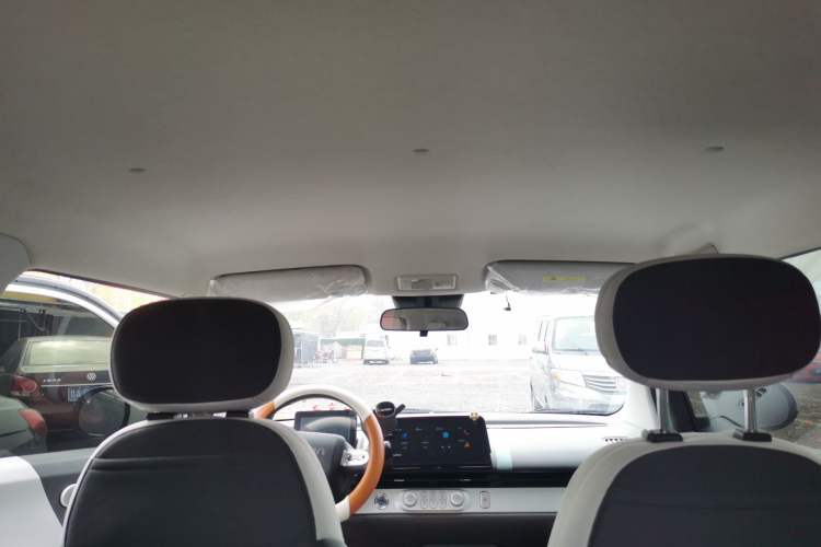 Used Qiyuan Lumin 2023 205km Xiangqin Version