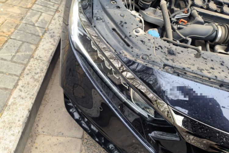 Used Honda Accord 2021 260TURBO Luxury Starry Sky Limited Edition Right Front Headlight