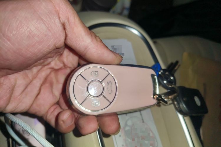 Used ORA Good Cat 2023 401 km Standard Range Premium Version Lithium Iron Phosphate