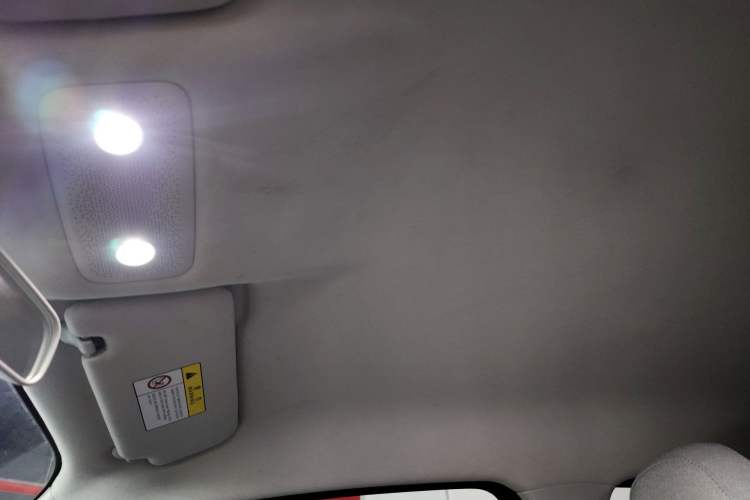 Used Leapmotor T03 2022 Glazed Edition Headliner
