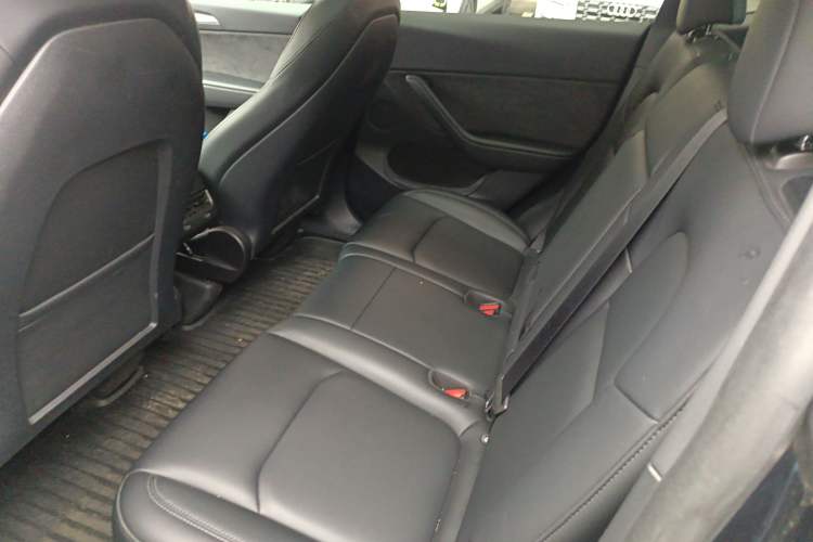 Used Tesla Model Y 2024 Rear-Wheel-Drive Version Left Rear Seat