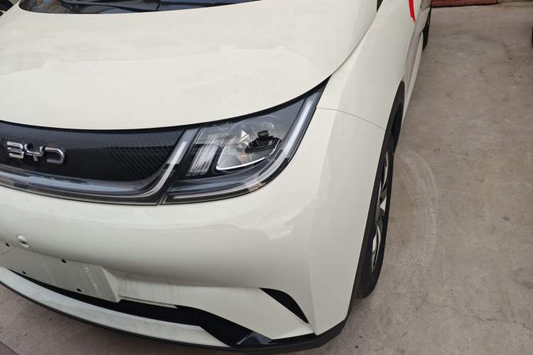 Used BYD Dolphin 2025 420km Free Edition
