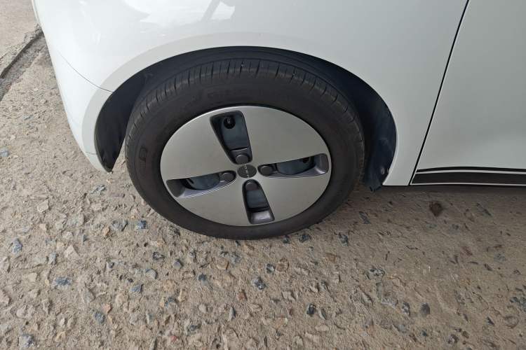 Used ORA Black Cat 2021 301 km Basic Version Left Front Wheel Hub