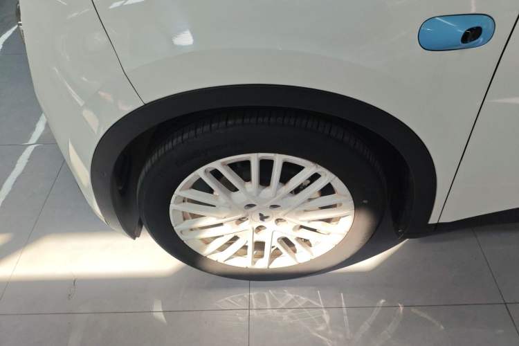 Used firefly firefly 2025 Illuminated Edition
