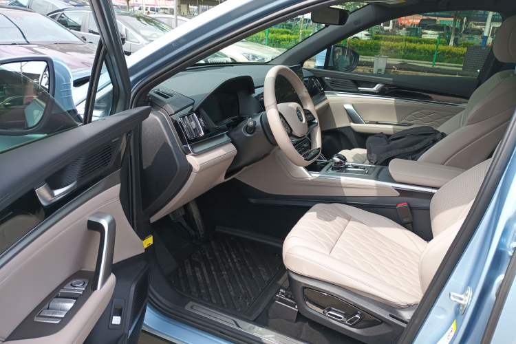 Used BYD Tang New Energy 2024 DM-p Champion Edition 215KM Four-Wheel Drive Deluxe Model Left Front Seat