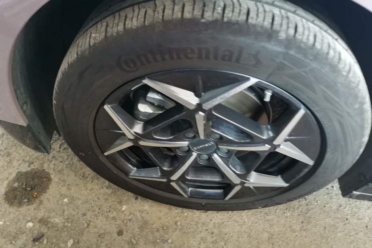 Used Lynk & Co Z20 2025 530 km Range Rear-Wheel Drive Max
