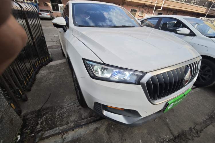 Used BORGWARD BX5 2020 20TGDI Automatic Two-Wheel Drive Entry-Level Edition
