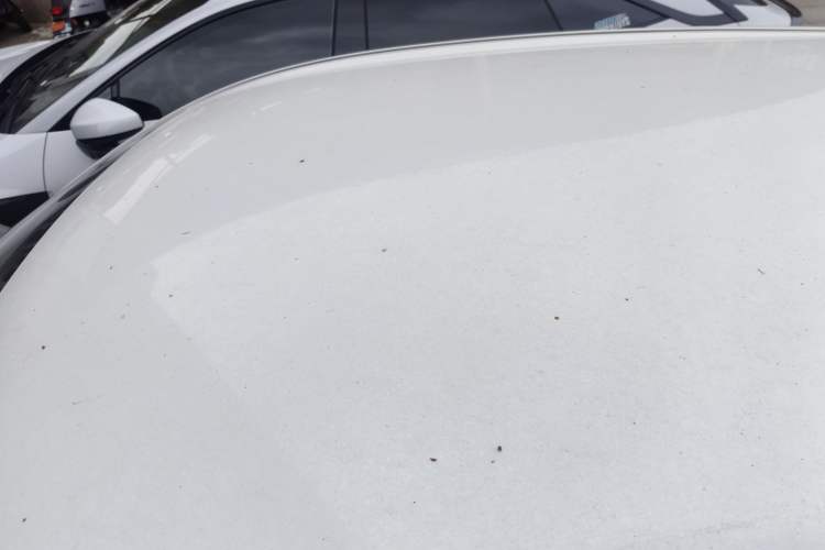 Used Wuling Bingo 2023 333km Enjoy+ Version Roof