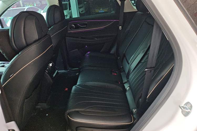 Used Chery Tiggo 9 2023 2.0T Dual-Clutch Two-Wheel Drive Luxury Edition 5 Seats Left Rear Seat