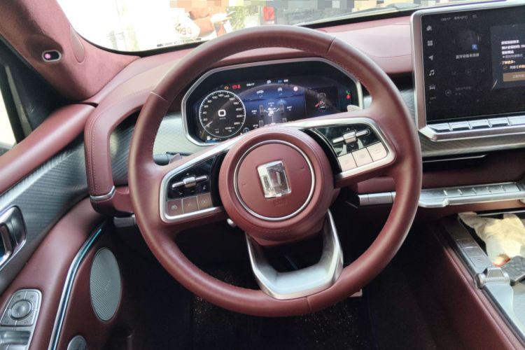 Used Tank 700 New Energy 2024 Hi4-T First-Edition Limited Model
