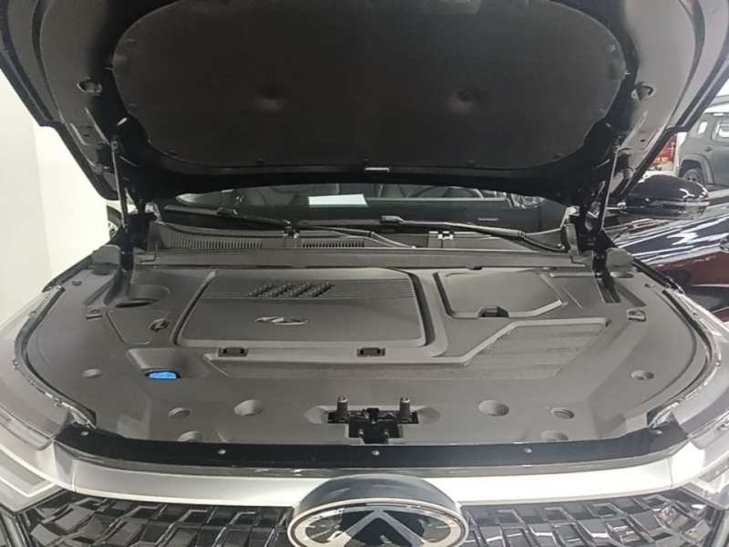 Used Chery Tiggo 8 PRO 2025 290T Two-Wheel-Drive Luxury Edition — 19