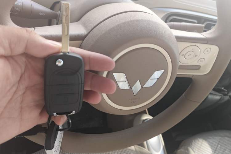 Used Wuling Hongguang MINIEV 2025 Four-Door Version Advanced Edition