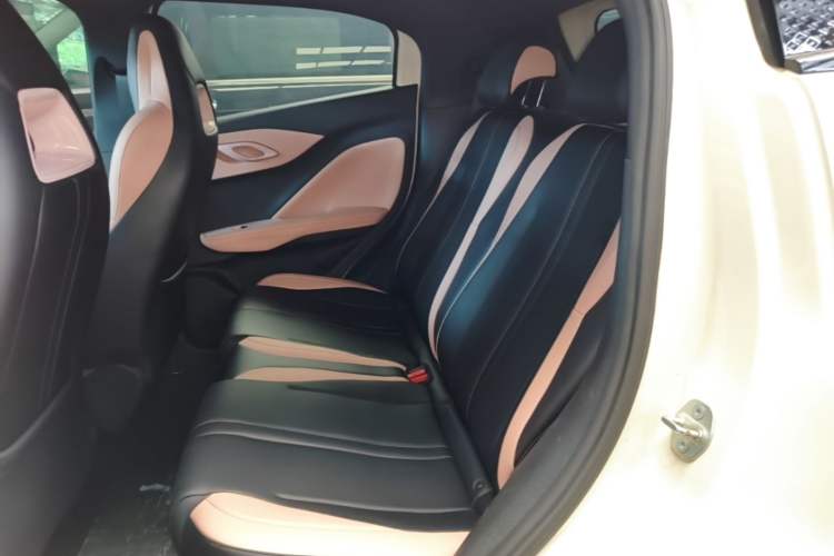 Used BYD Seagull 2025 305 km Free Version
