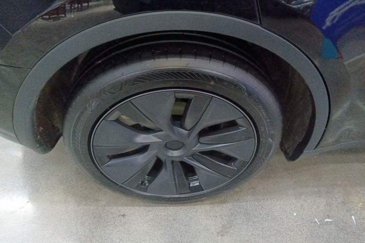 Used Tesla Model Y 2023 Rear-Wheel-Drive Version Exterior 5