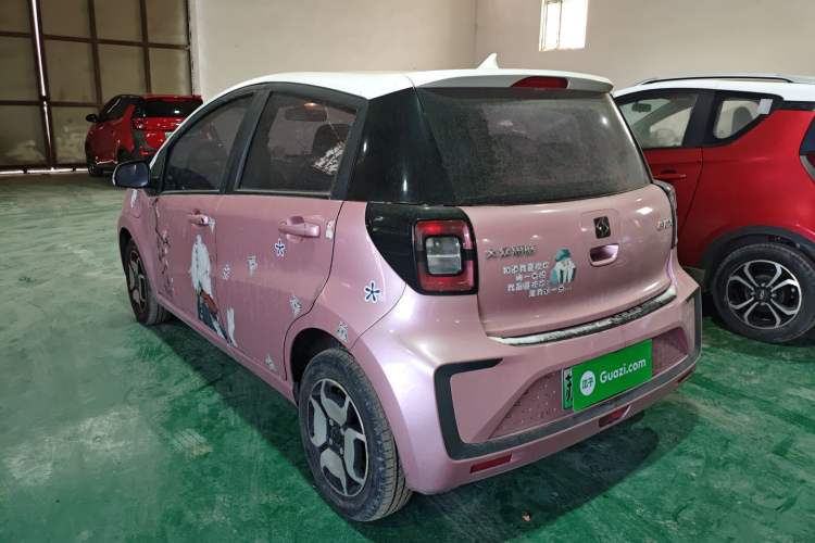 Used SOL E10X 2022 Flower Fairy Style Baby's Breath