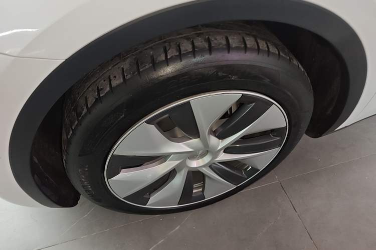 Used Tesla Model Y 2021 Standard Range Rear-Wheel Drive Version
