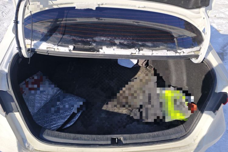 Used Toyota Corolla 2021 Dual-Motor 1.8L E-CVT Elite Edition
