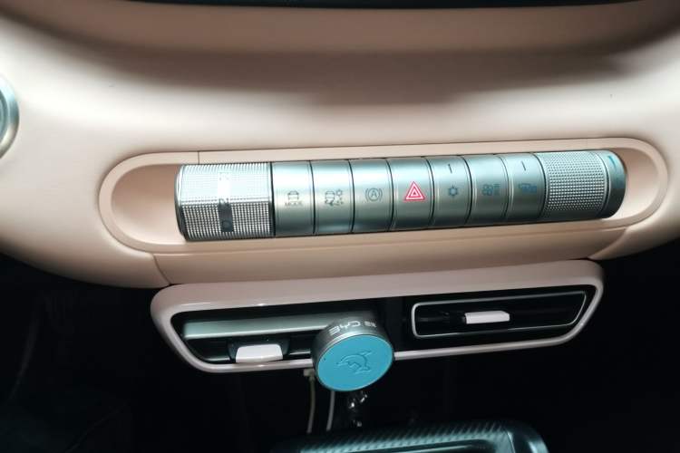 Used BYD Seagull 2025 305 km Free Version Gear Lever