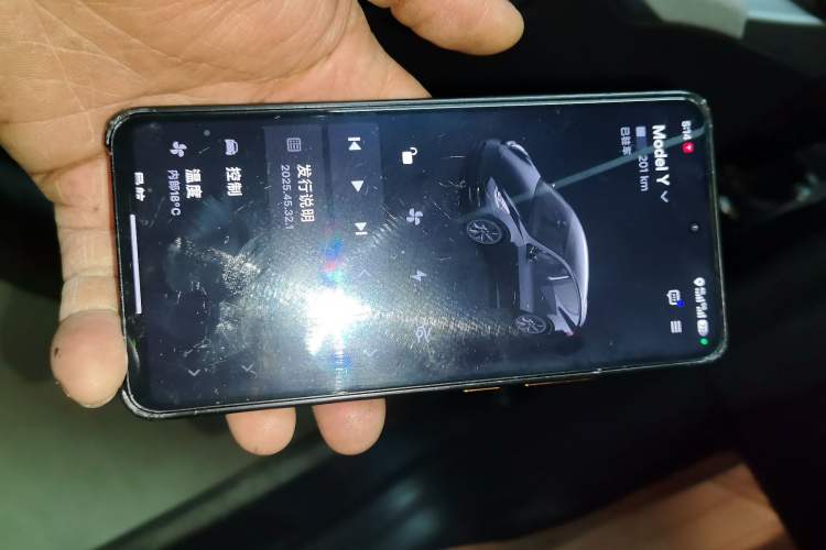 Used Tesla Model Y 2024 Long-Range All-Wheel-Drive Version
